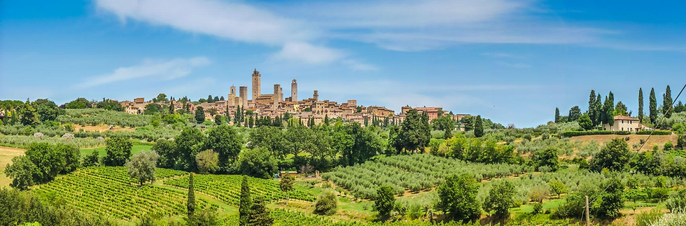 The back drop of most wineries in San Gimignano