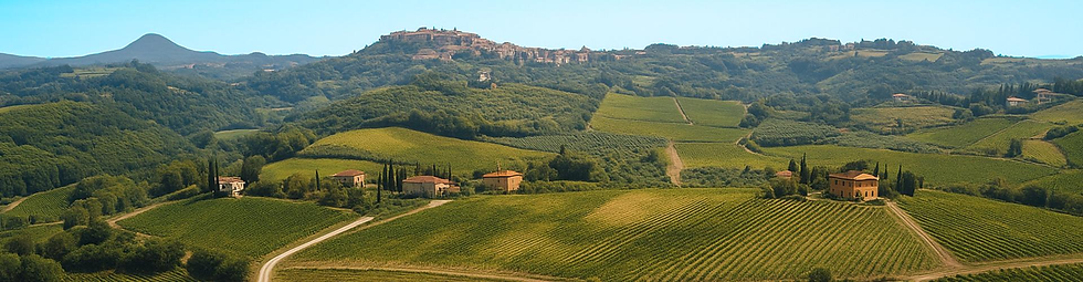 A wide vineyard scene with Montepulciano visible on the hill