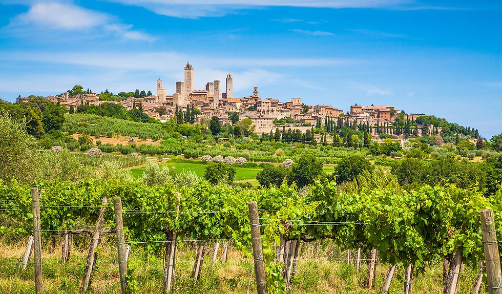 The hills around San Gimignano are ideal for Vernaccia