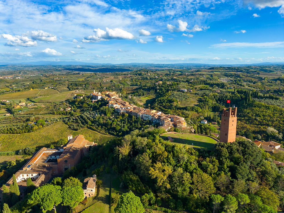 A panoramic view of San Miniato's forests, vineyards, and medieval skyline.