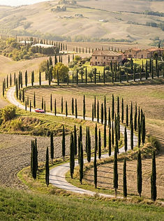 the serpintine road of Tuscany