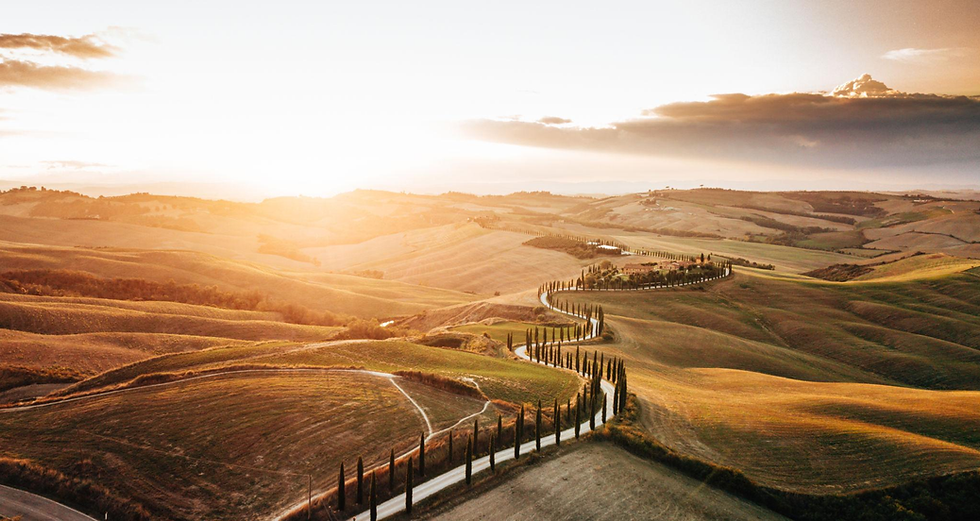 Perhaps the most iconic driving scenery in all of Tuscany—rolling hills and cypress-lined roads.