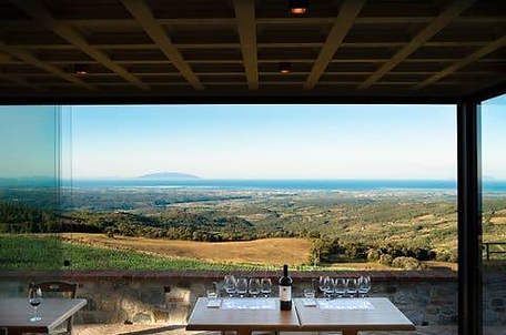 A winery terrace with panoramic views across the Brunello vineyards toward the Val d'Orcia, conveying the relaxed yet prestigious atmosphere of Montalcino.