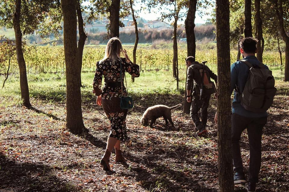 Guests quietly following the dog through a peaceful woodland trail.