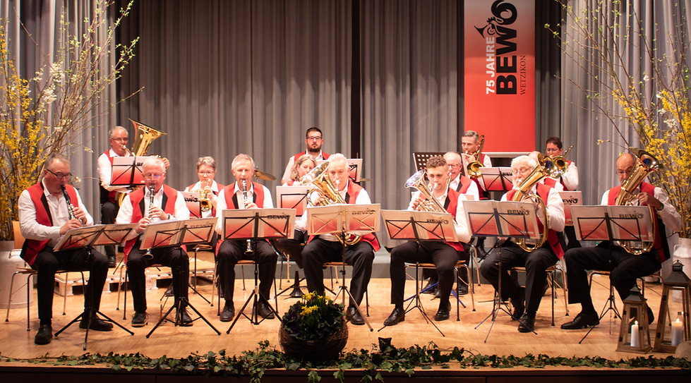 BEWO_Jahreskonzert-2025-43_edited.jpg