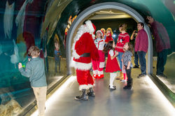 Corporate Event Management