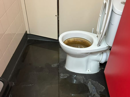 How to Unblock an Overflowing Toilet – Expert Guide