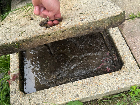 5 Common Drainage Problems Homeowners Face and How to Fix Them