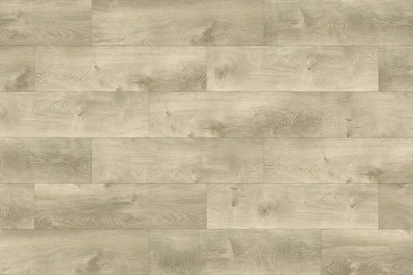 Silverpoint