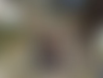 What Are the Signs of a Collapsed Drain Pipe Under My Property?