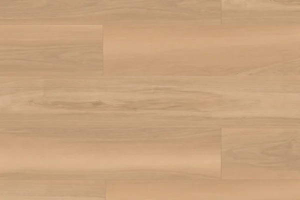 Desert Dune