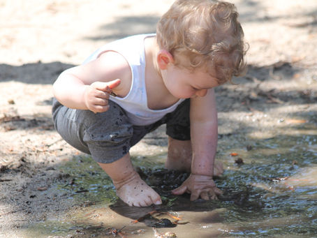 What Forest School Can do for Your Bubs (12-24 Months)