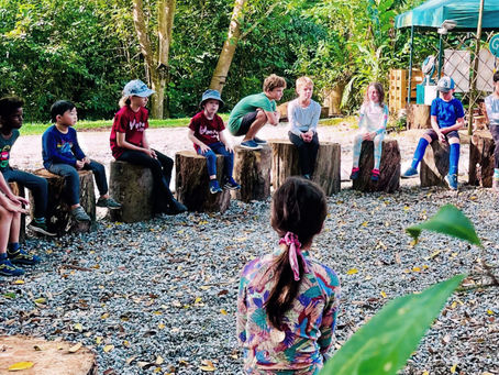 School Excursions in Singapore: Why Outdoor Learning Works