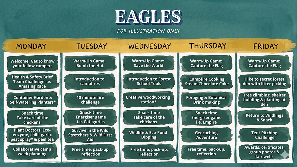 Wildlings Challenge Camp Programme for Eagles 9 10 11 yrs