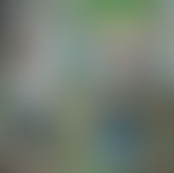 Older children at Wildlings Summer Outdoor Adventure Camp enjoying a walk in the nearby jungle 