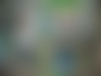 Older children at Wildlings Summer Outdoor Adventure Camp enjoying a walk in the nearby jungle