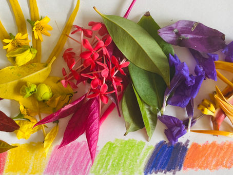 How to Bring the Forest School Ethos Home