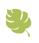 KidsBibleStories_Website_lcons-Leaf1.png