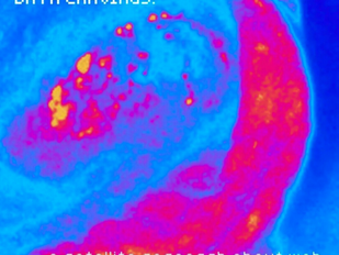 Data Cravings: [web meta/bolisms and data digestion]