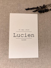 Lucien_StudioU