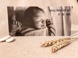 Lewis_StudioU