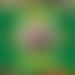 Stocking Up on Talent! Zach Stocker Joins DKCU for 2025!