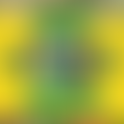 "Master of Mischief": DKCU Welcomes Back William Matthiesen for Year Two as Director of Soccer Shenanigans!