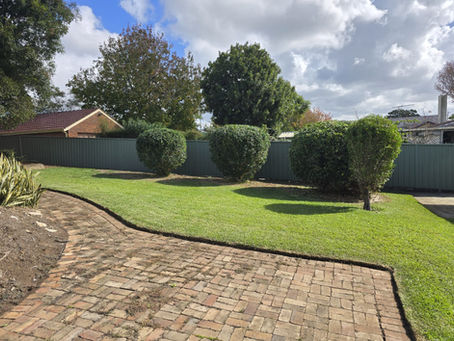 Garden Maintenance Gordon: What Problems Do Local Homeowners Struggle With Most?