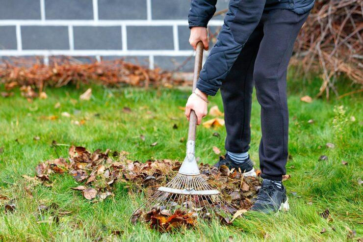 garden clean up services Sydney