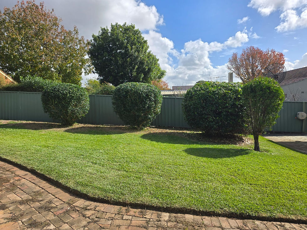 Gardener in Lindfield