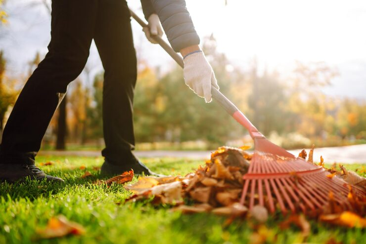garden clean up services Sydney