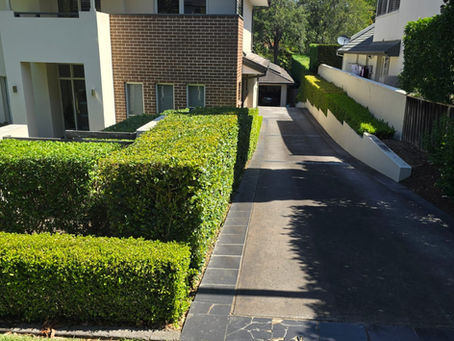 Why Is Professional Garden Maintenance in Pymble Essential for Busy Homeowners?