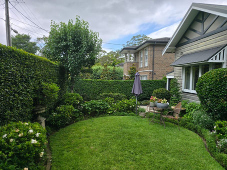 Gardener in Lindfield