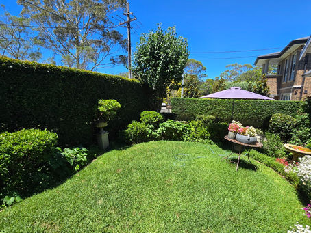 Garden Maintenance in St Ives: Mulching, Weeding and More