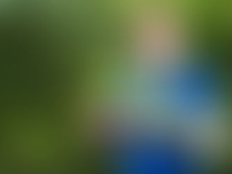 Garden Clean Up Services in Sydney