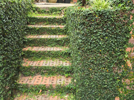 Reliable Garden Maintenance in Ryde: Keeping Your Outdoor Spaces Clean, Green, and Healthy