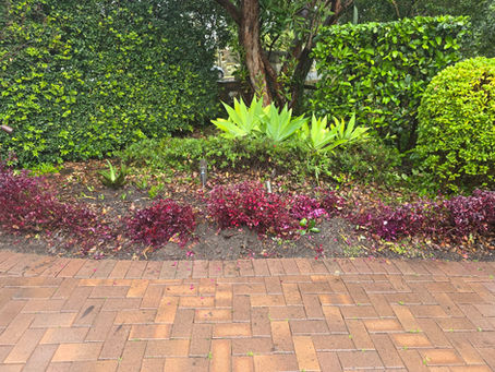 Gardener in St Ives: Reliable Garden Care for Beautiful Outdoor Spaces