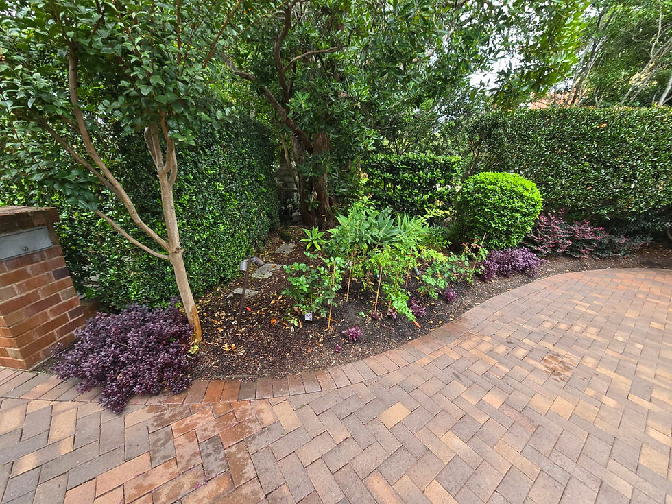 Garden Maintenance in Ryde