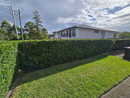 The Ultimate Guide to Garden Clean Up Services Sydney Homeowners Love in 2025