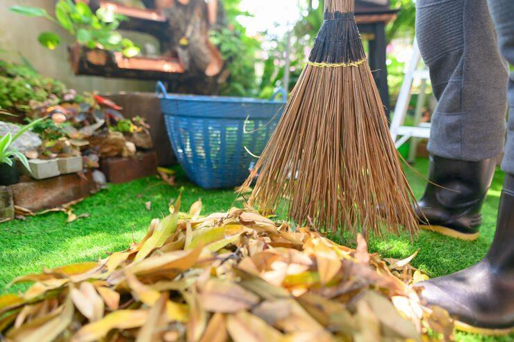 garden clean up services Sydney
