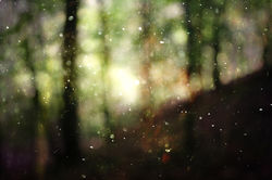 IMG_10301 (60)edit2.JPG