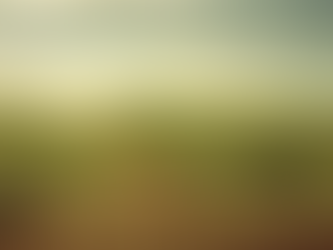 The Surprising Connection Between SEO And Personal Growth