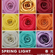 Poster for Cai Zhisong_Spring Light.jpeg