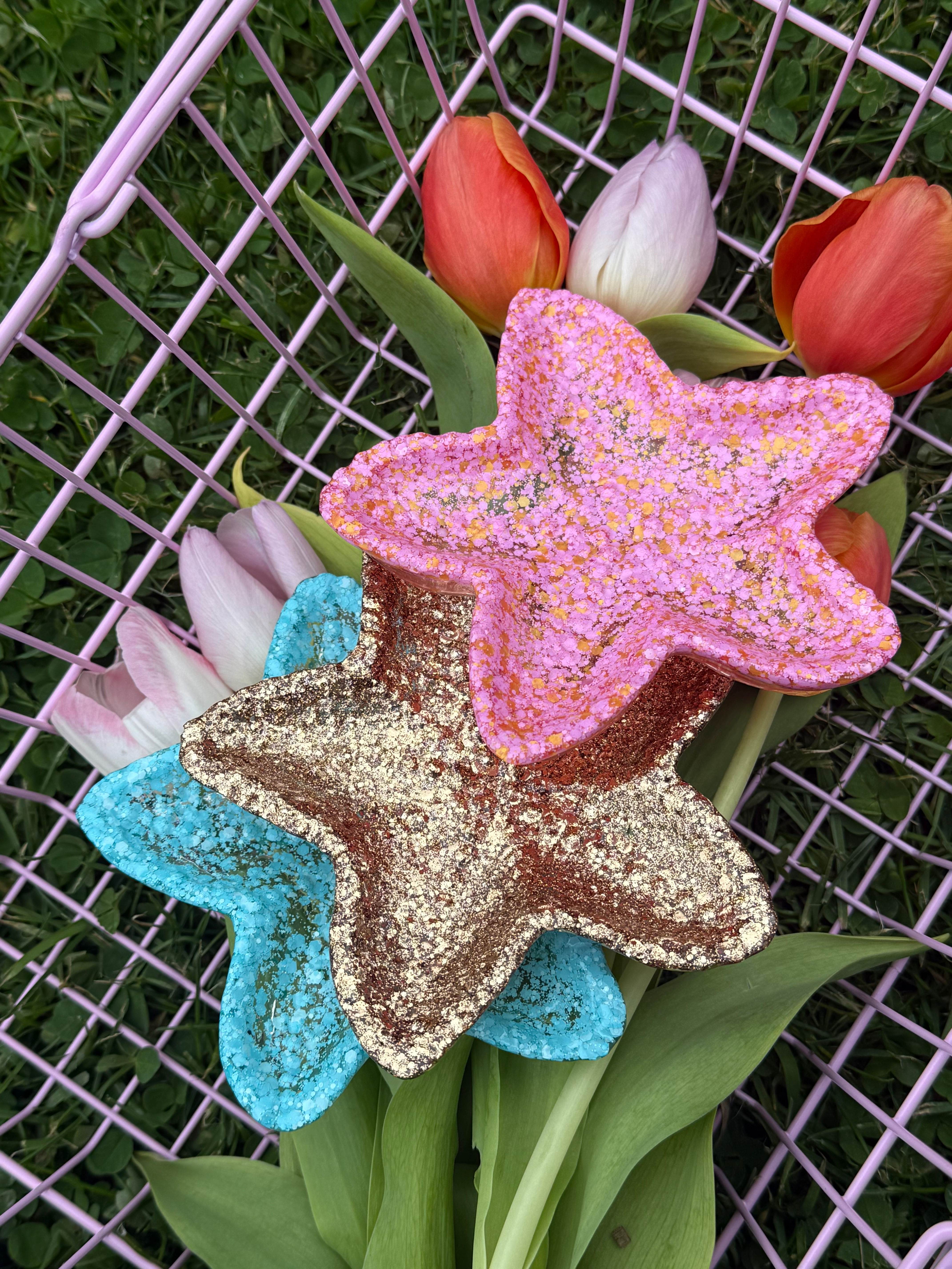 Vide poche Etoile de mer - " Spring 26"