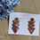 Miniature : Vide Atelier - Boucles d'oreilles