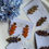 Miniature : Vide Atelier - Boucles d'oreilles