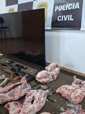 Polícia Civil recupera televisão furtada e apreende carne de animais silvestres em Erebango