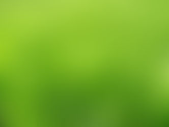 How to Choose the Right Grass