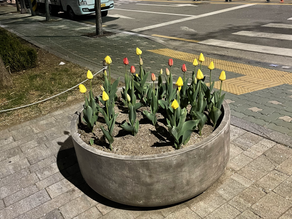 Blog Entry #8 [2021년 4월 6일]