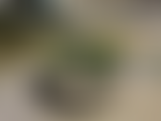Blog Entry #8 [2021년 4월 6일]